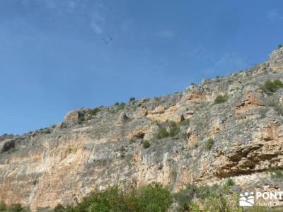 Hoces del Río Duratón - Villa y Tierra de Sepúlveda;viajes mayo senderismo